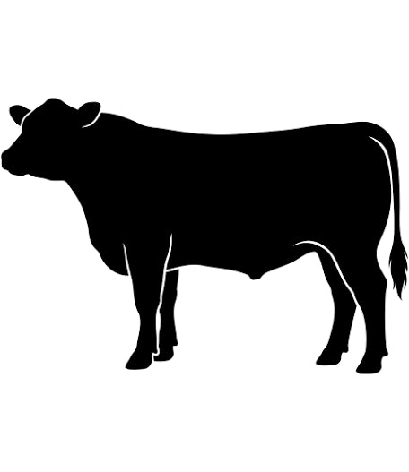 All Beef Products